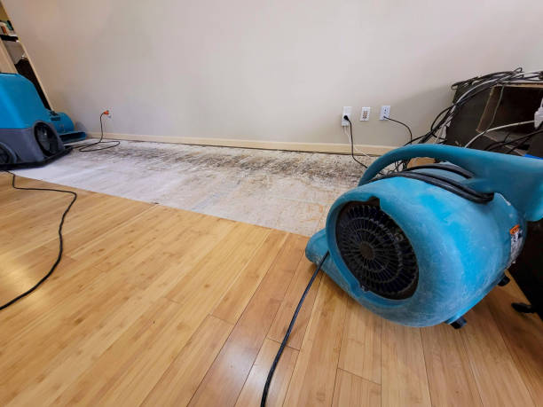 Professional Water Damage Repair technician working in Elmhurst, IL